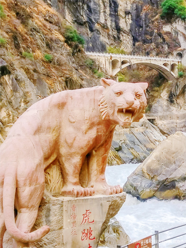 终于看见传说中的老虎_虎跳峡攻略