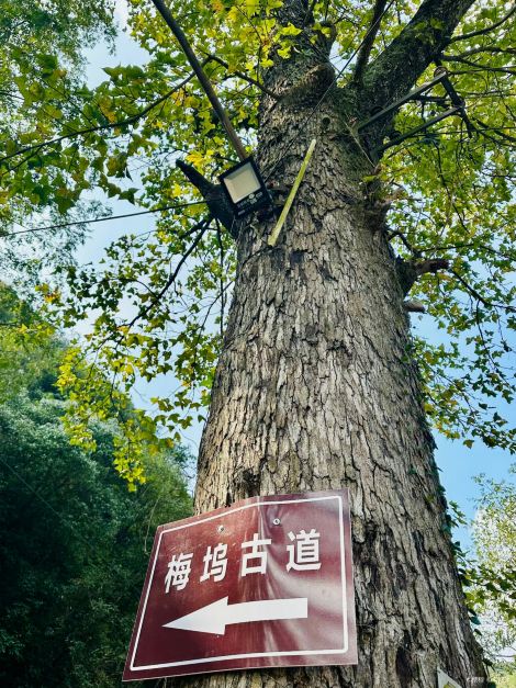梅坞岭古道