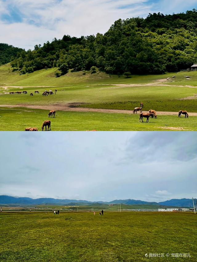 赴一场桑科草原的治愈之约