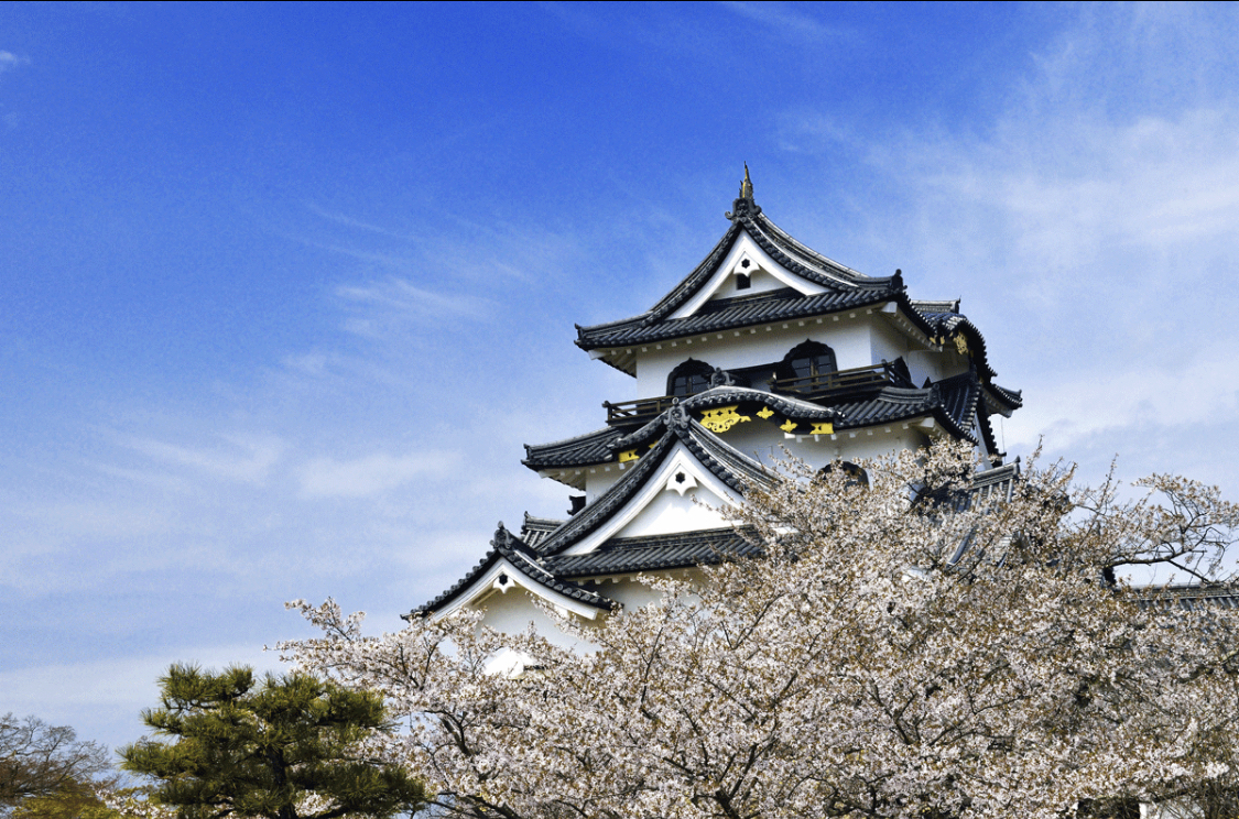 彦根城 成为日本国宝级遗迹