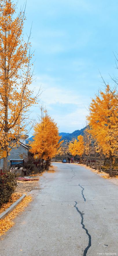 南黄古道