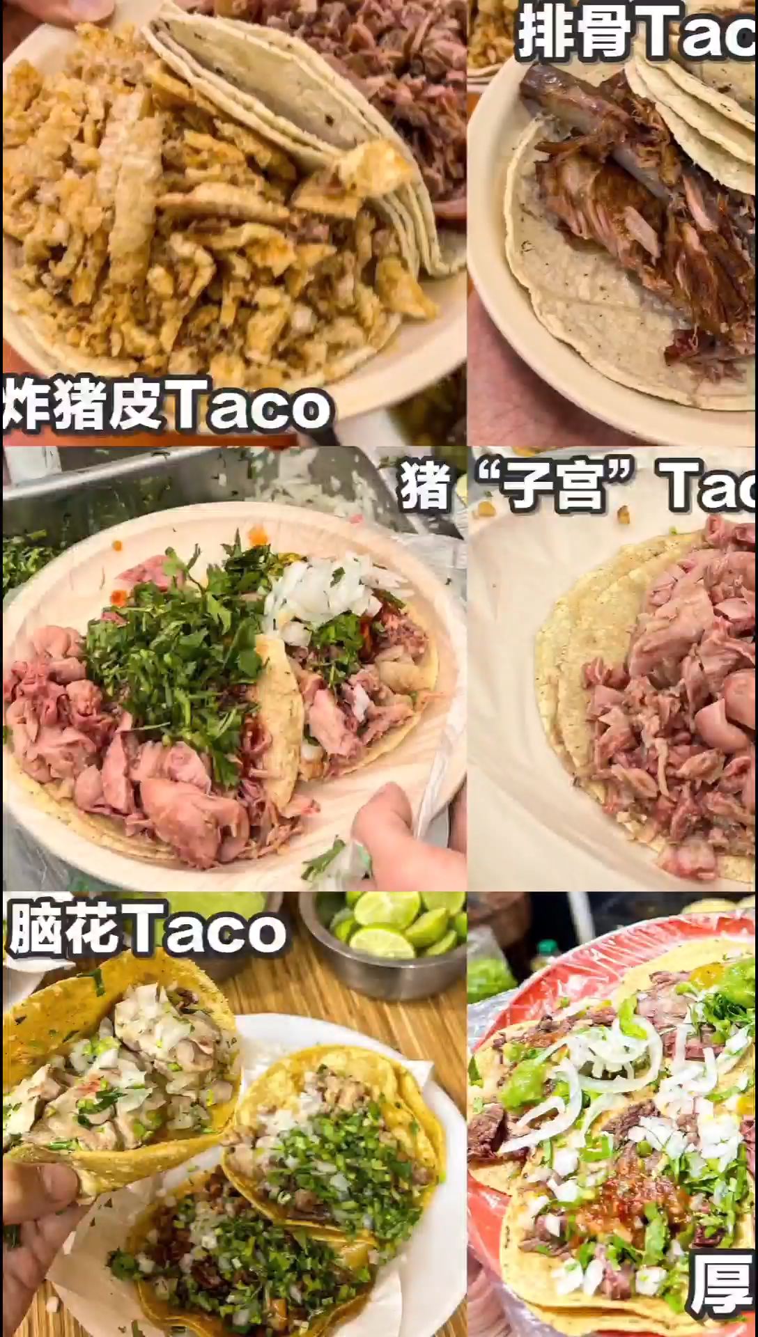 墨西哥城终极Taco攻略😱疯狂但美味爆表！|||一天吃18颗Taco后，终于诞生了 墨西哥城终极Ta
