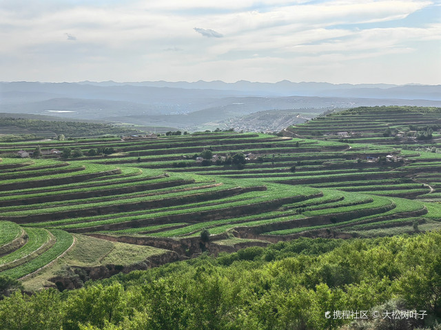 宁夏彭阳青云湾梯田