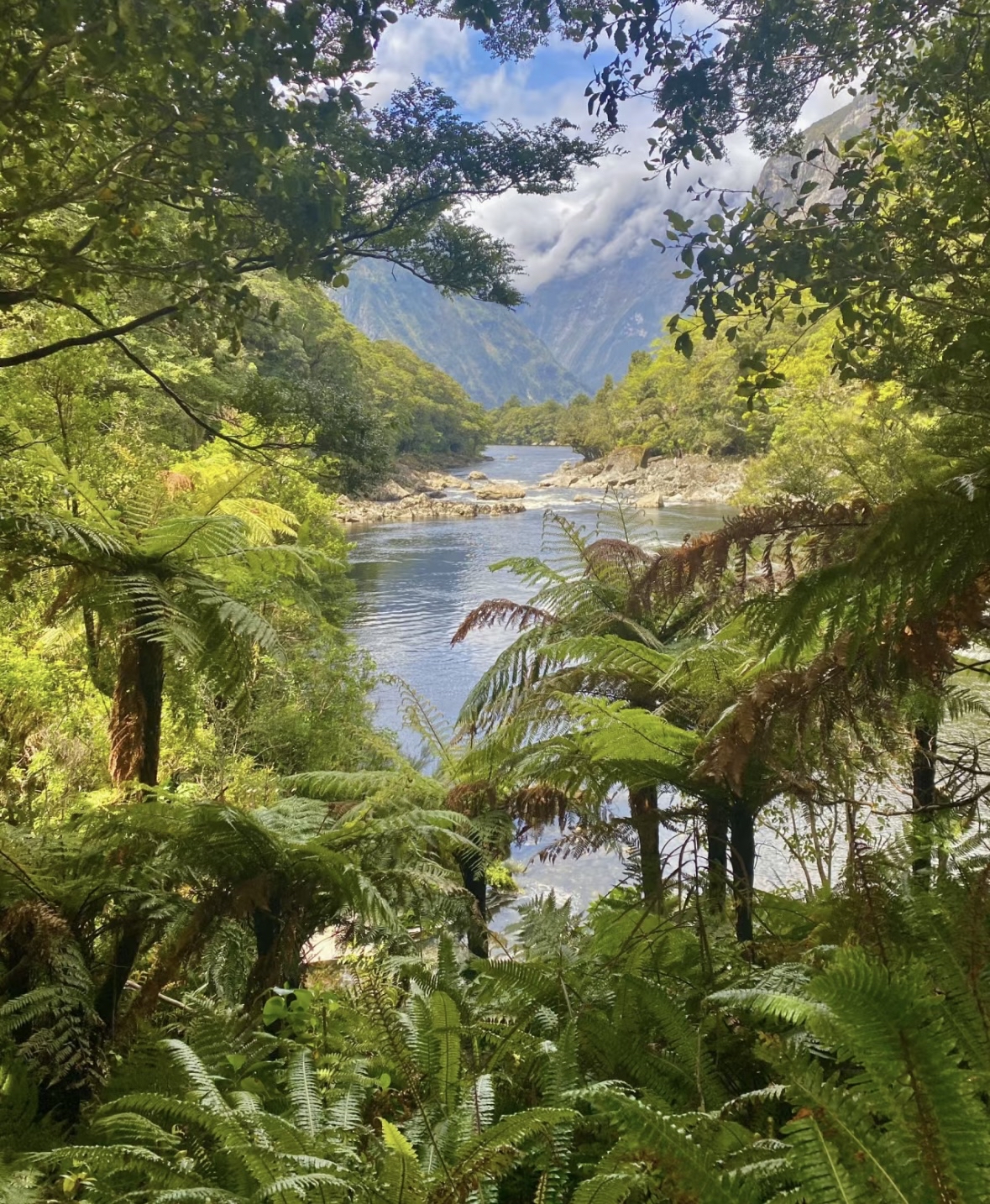 新西兰徒步 | Milford步道穿越侏罗纪世界