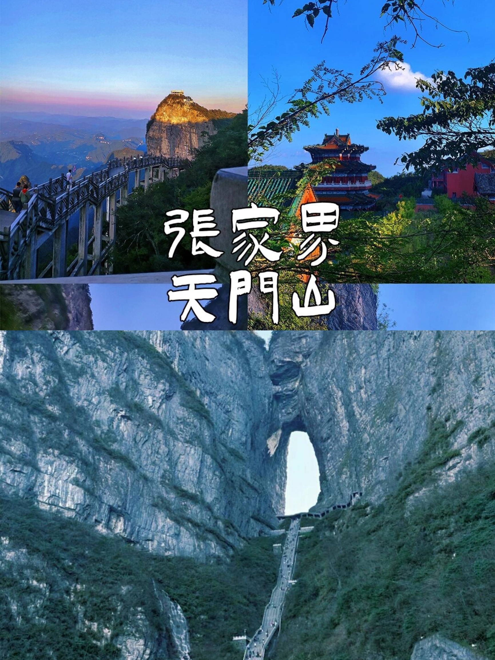 张家界天门山｜不用跟团！攻略直接拿走！|||🎫 门票