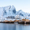 Klatrekafeen