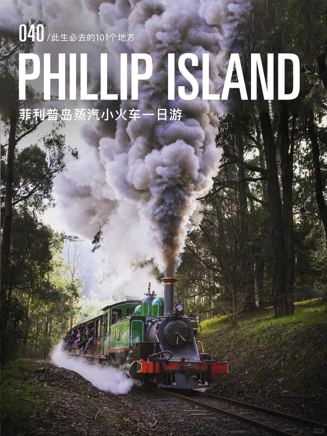 澳洲菲利普岛小火车旅行|探索丛林绿野仙踪