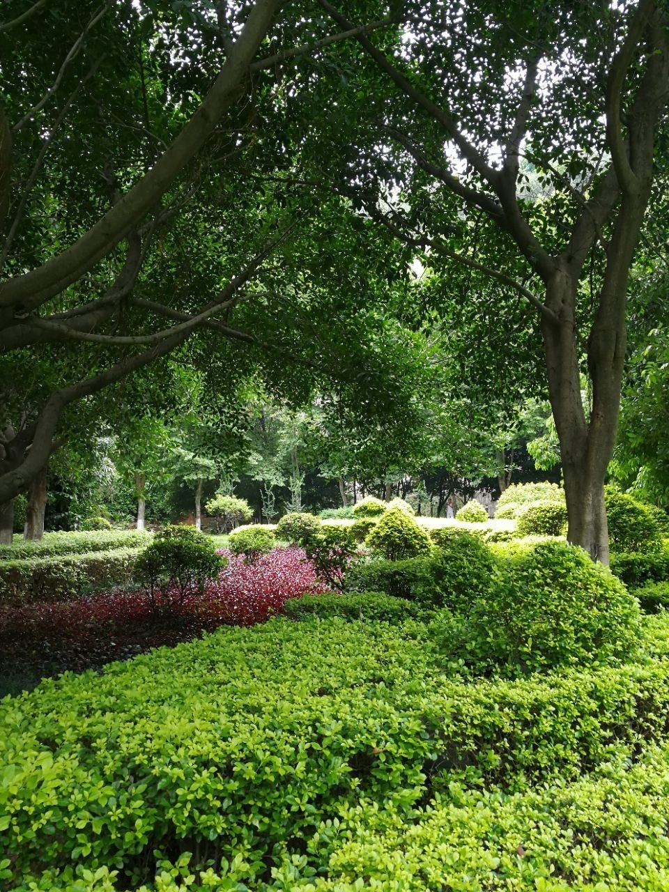 《攀枝花公园：历史的见证者》 攀枝花公园，这座位于四川攀枝花市的美丽公园，承载着城市的历史与文化，是