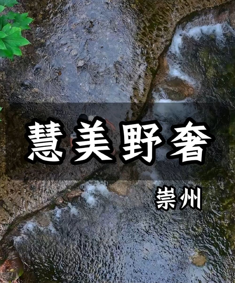 崇州九龙沟慧美野奢温泉酒店图片