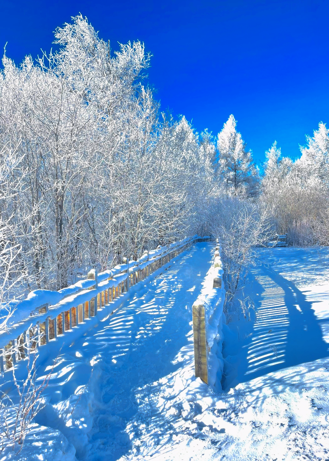 比起梅里雪山，我更喜欢这里有浓浓的童年气息