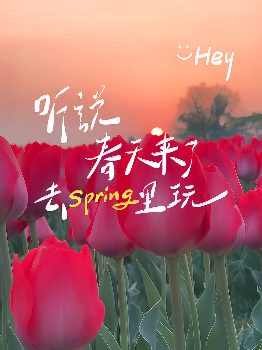 芜湖的春天🌷🌷🌷