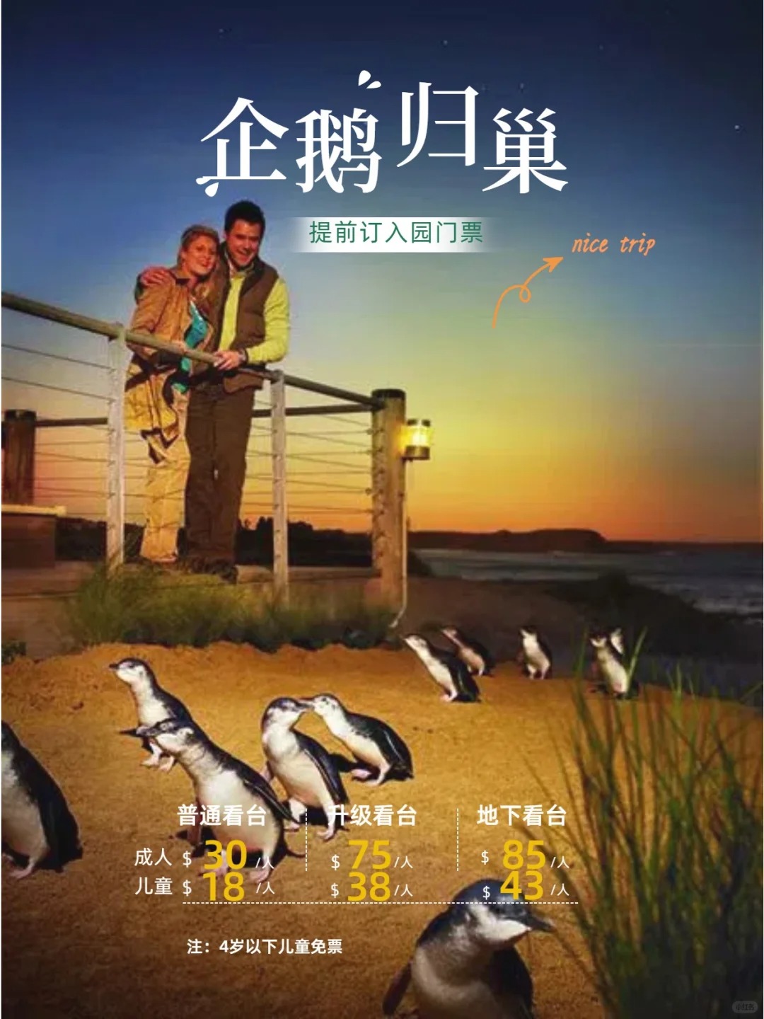 墨尔本菲利普岛🐧 (企鹅归巢)攻略~