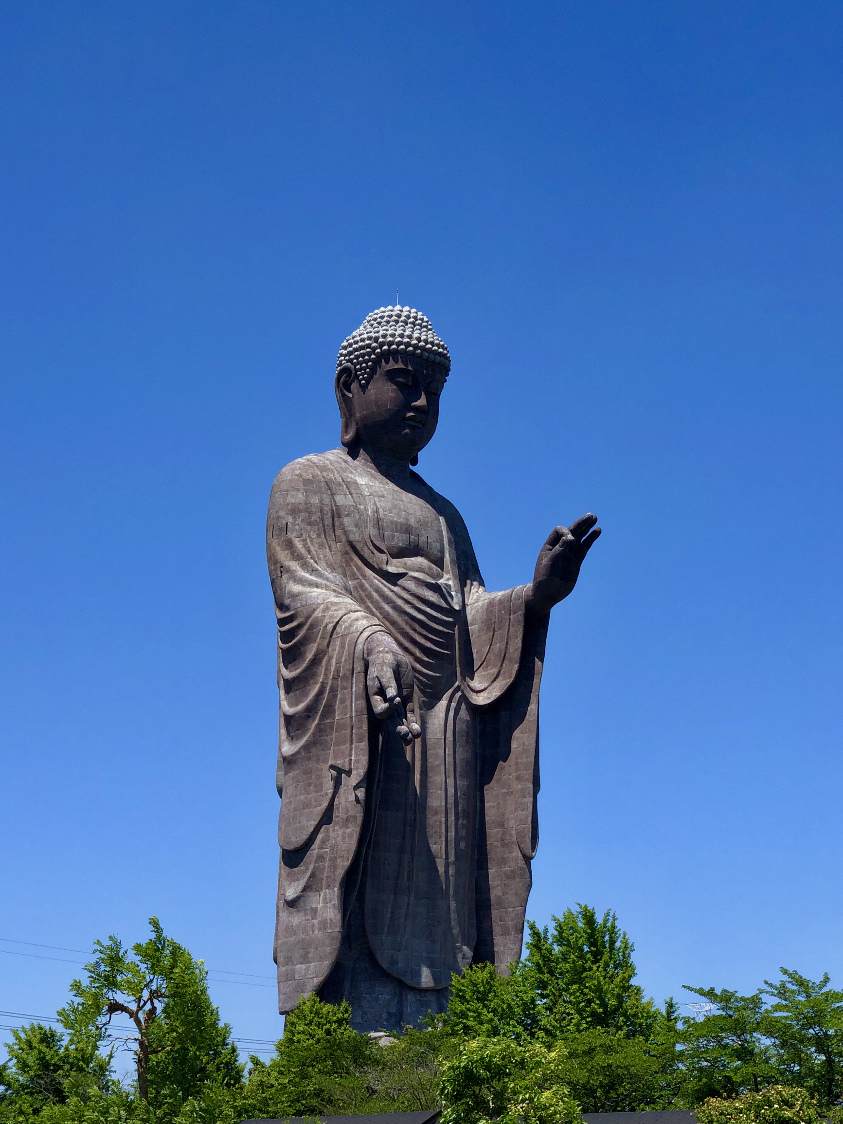 世界最高立佛，以世界第一高铜制佛像而被载入吉尼斯世界纪录