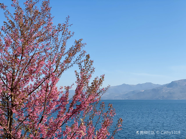 纳古镇小海公园