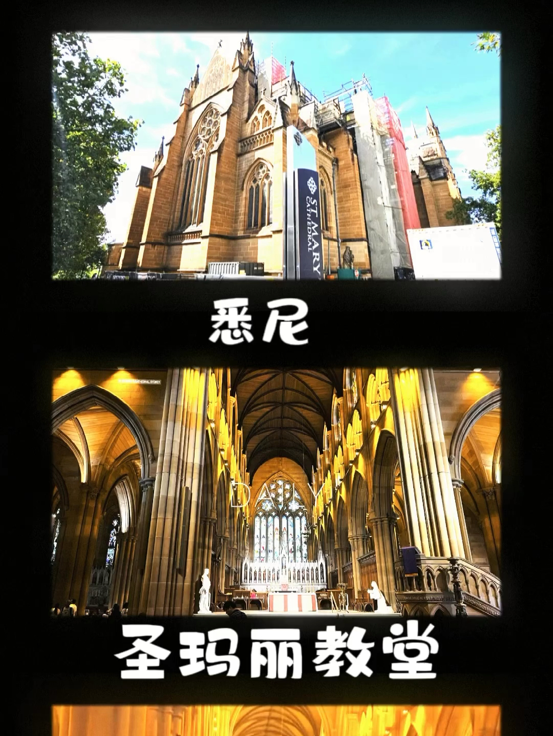 悉尼圣玛丽大教堂：探索城市的历史，感受宁静的神圣