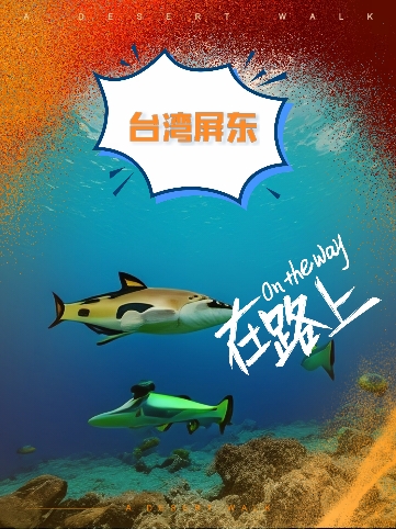 关于台湾屏东潜水会馆的游玩攻略