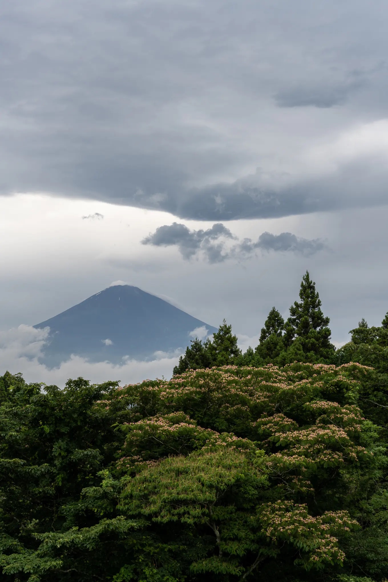 在乙女峠，是富士见三峠之一的风景胜地 从“乙女的钟”的平台眺望出去 景色没有任何遮挡 如果有机会，就