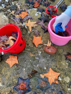 那香海钻石沙滩浴场-荣成-旅行指南ZH