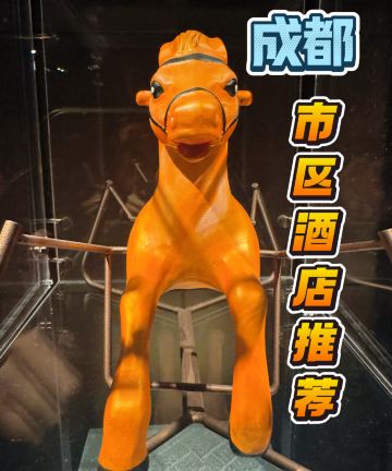 成都木棉花·凯悦臻选酒店图片