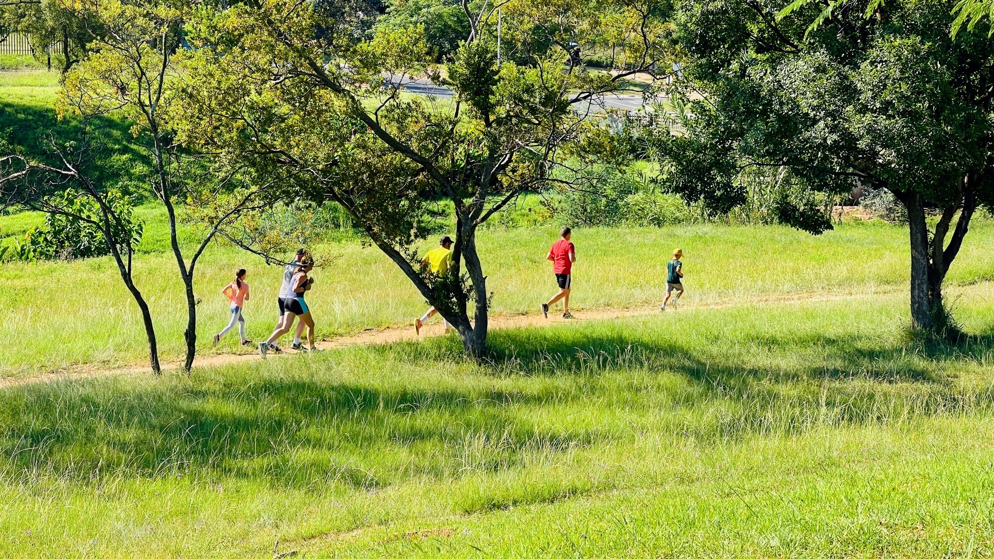 每周六上午，在南非约堡参加parkrun公园跑
