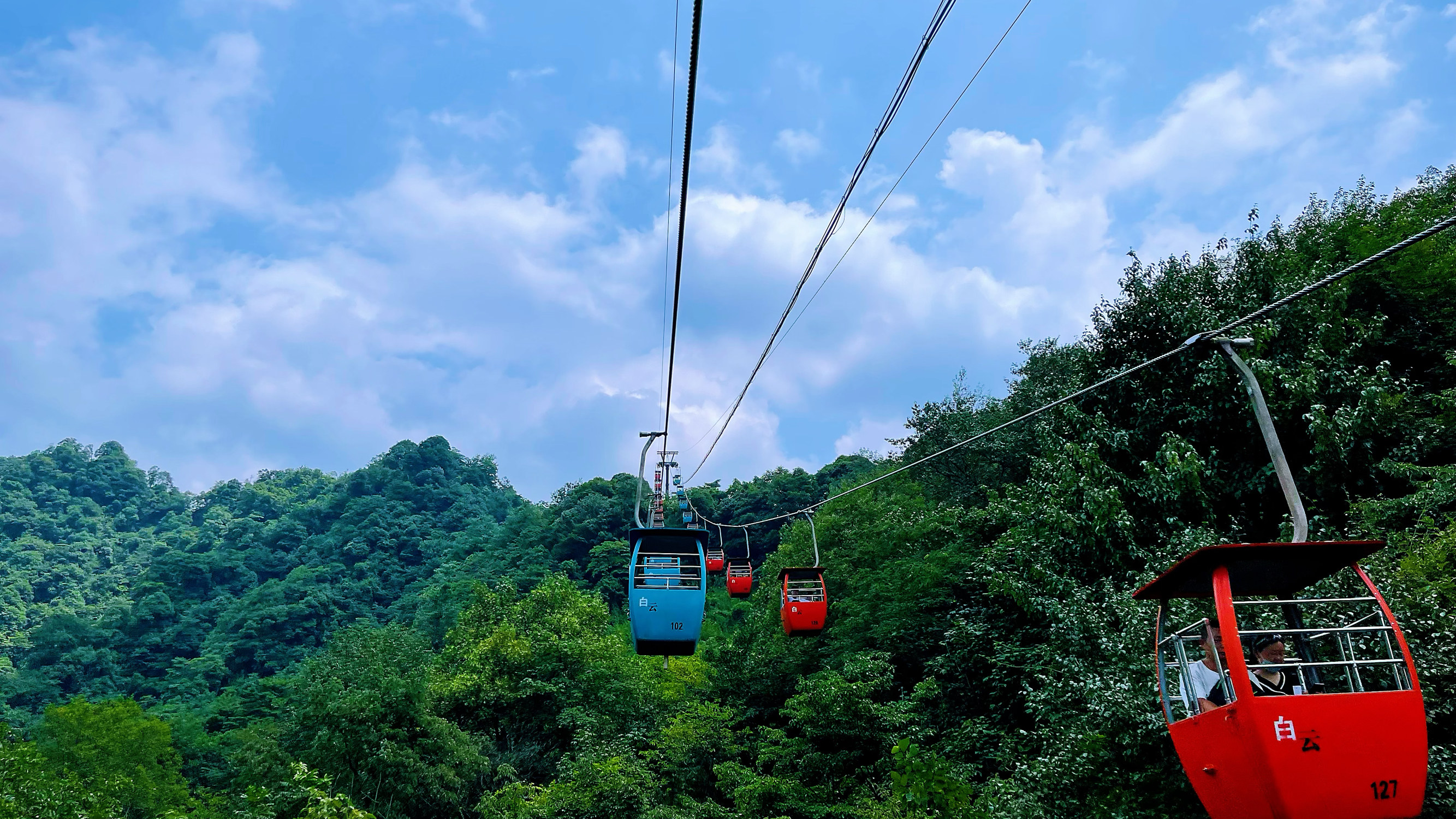 青城后山的缆车坐着太舒服了，两边的风景也很舒服