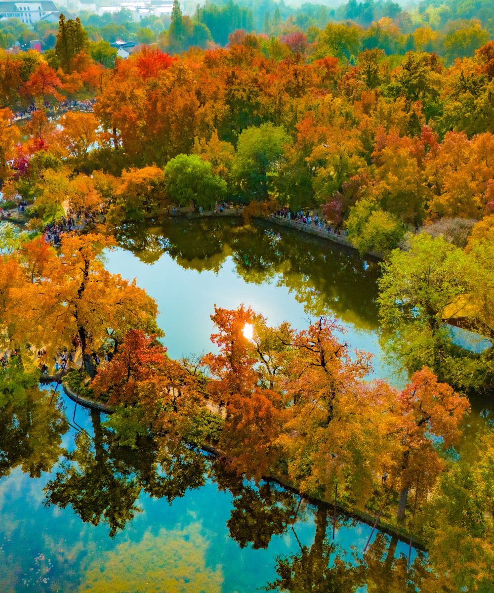 苏州合景万怡酒店图片
