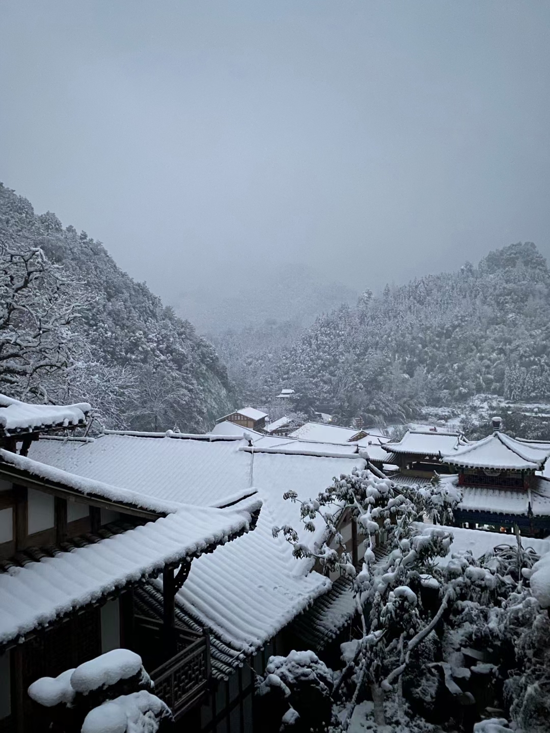 2024一场初雪，落满岁月