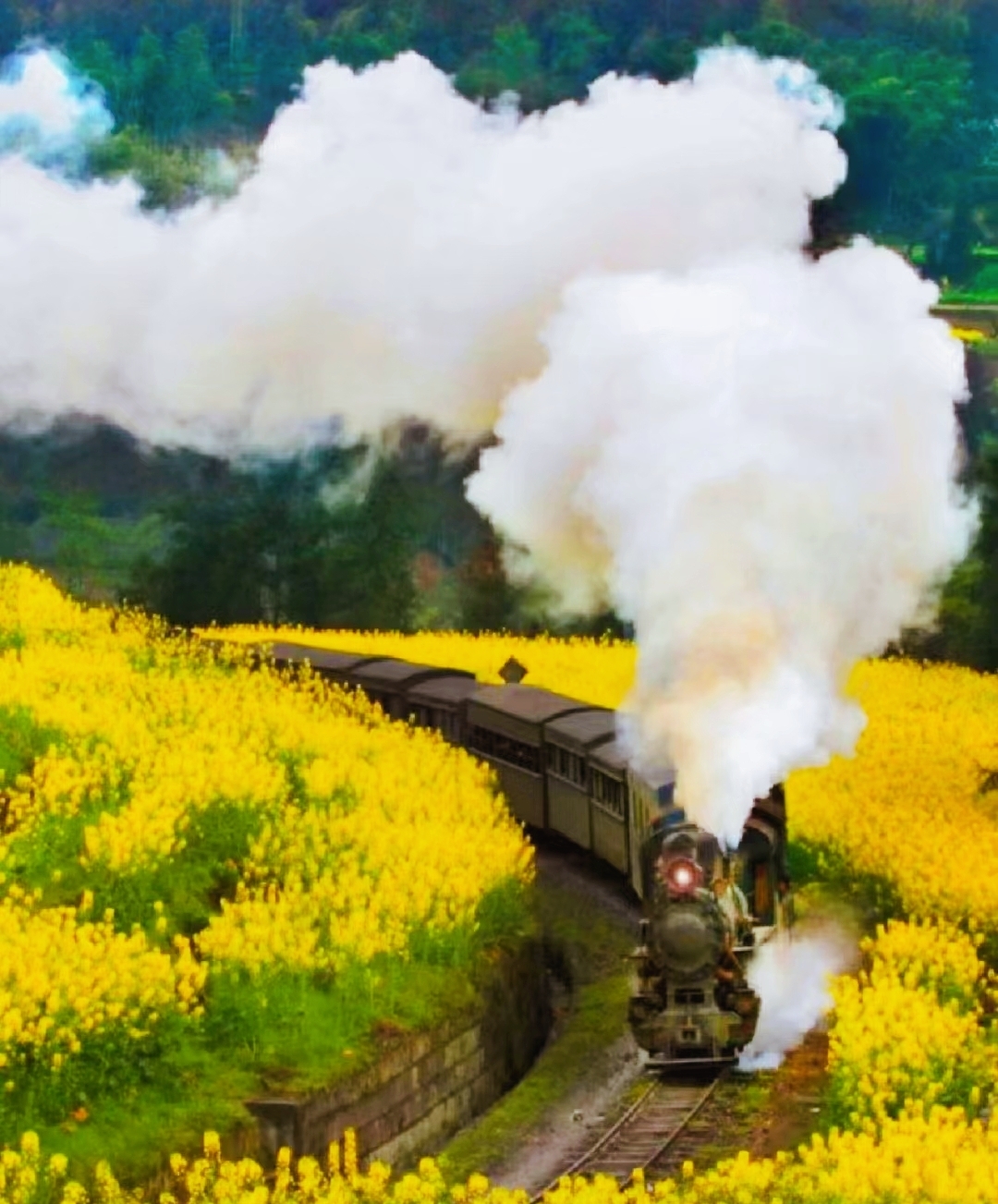 3月是到四川嘉阳旅游的好时节，看看我的旅游攻略：   - 第一天：从乐山或犍为出发，前往嘉阳小火车，