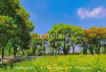 大唐农业生态园有限公司景点图片