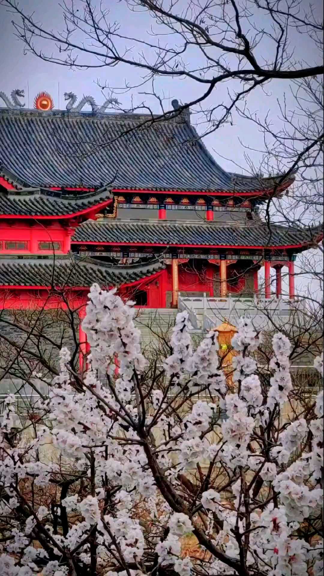 大孤山杏花节将于本月13号开始