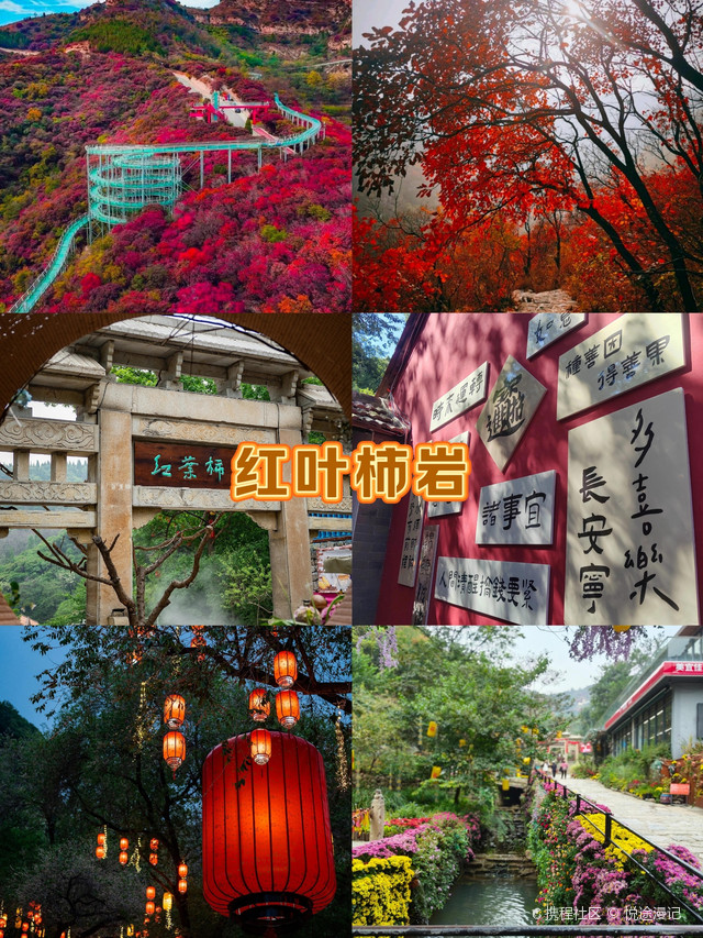 鲁中红叶盛宴:淄博红叶柿岩,梦幻秋景之旅
