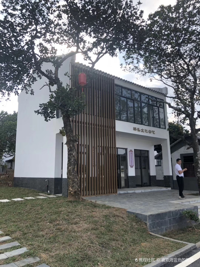 高州荔枝看根子,根子荔枝看元坝,元坝荔枝看桥头,桥头村,中国荔乡根子