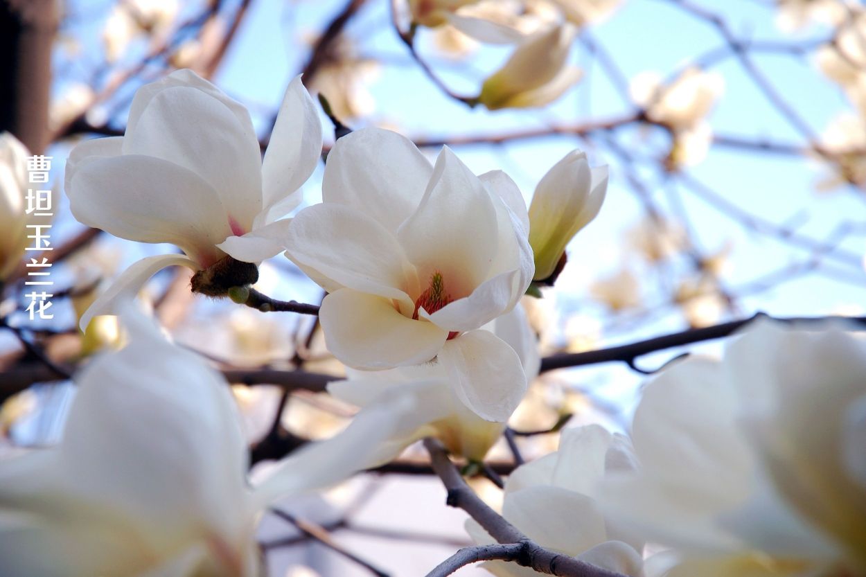 临福山庄餐厅图片