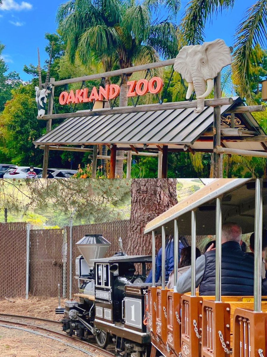 奥克兰动物园休闲、娱乐、好去处!