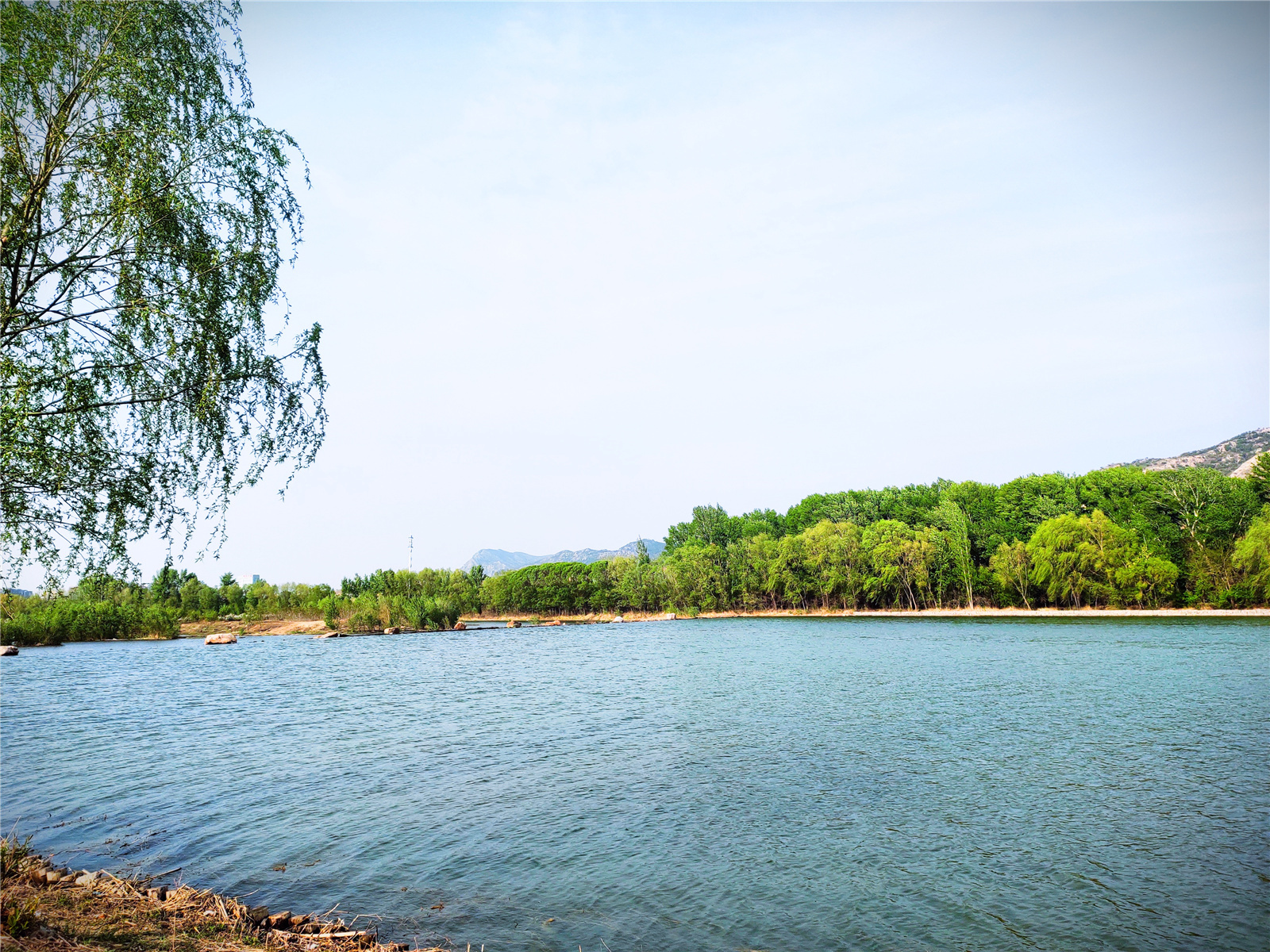 辽宁朝阳县：暮春凌河秀 浅夏景色新