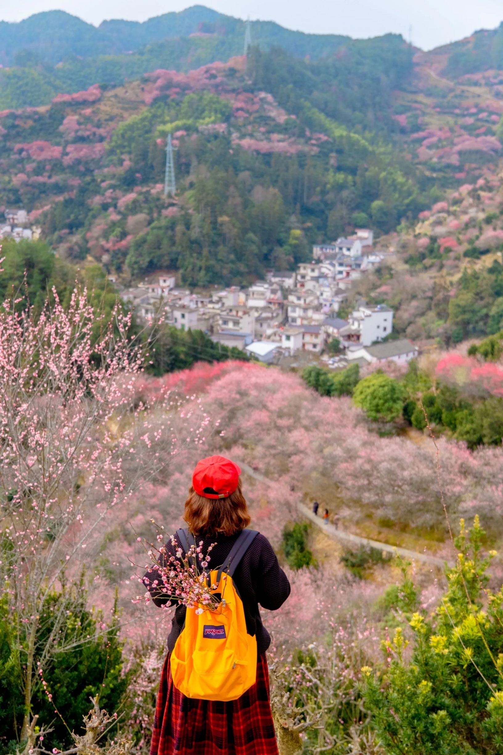 南京出发🚗这个皖南神仙村子梅花美哭了😭|||一个只卖花不打鱼的渔村#发现旅途的色彩  每年的二月 梅