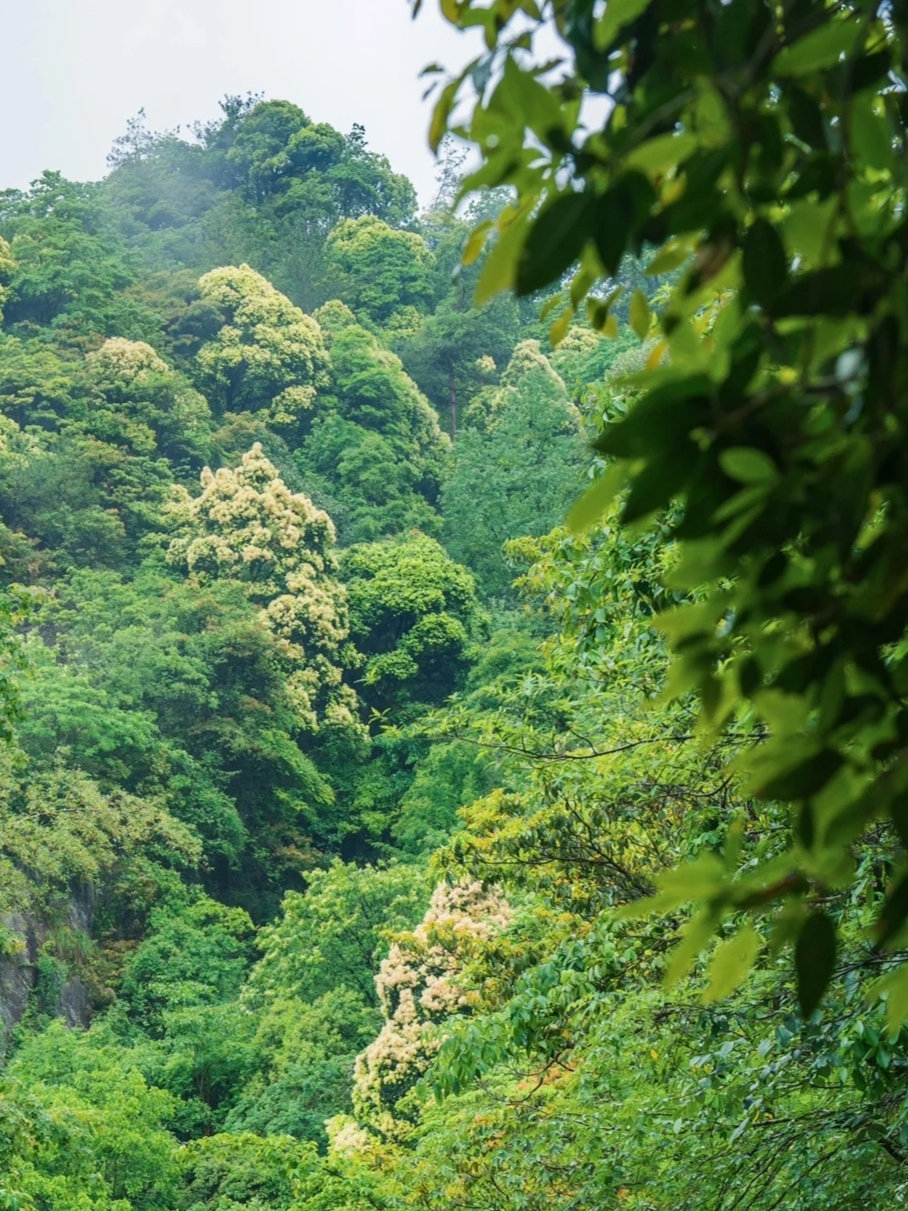 来天台山玩什么?