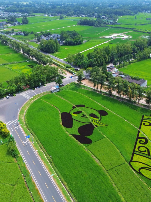 道明归野咖啡