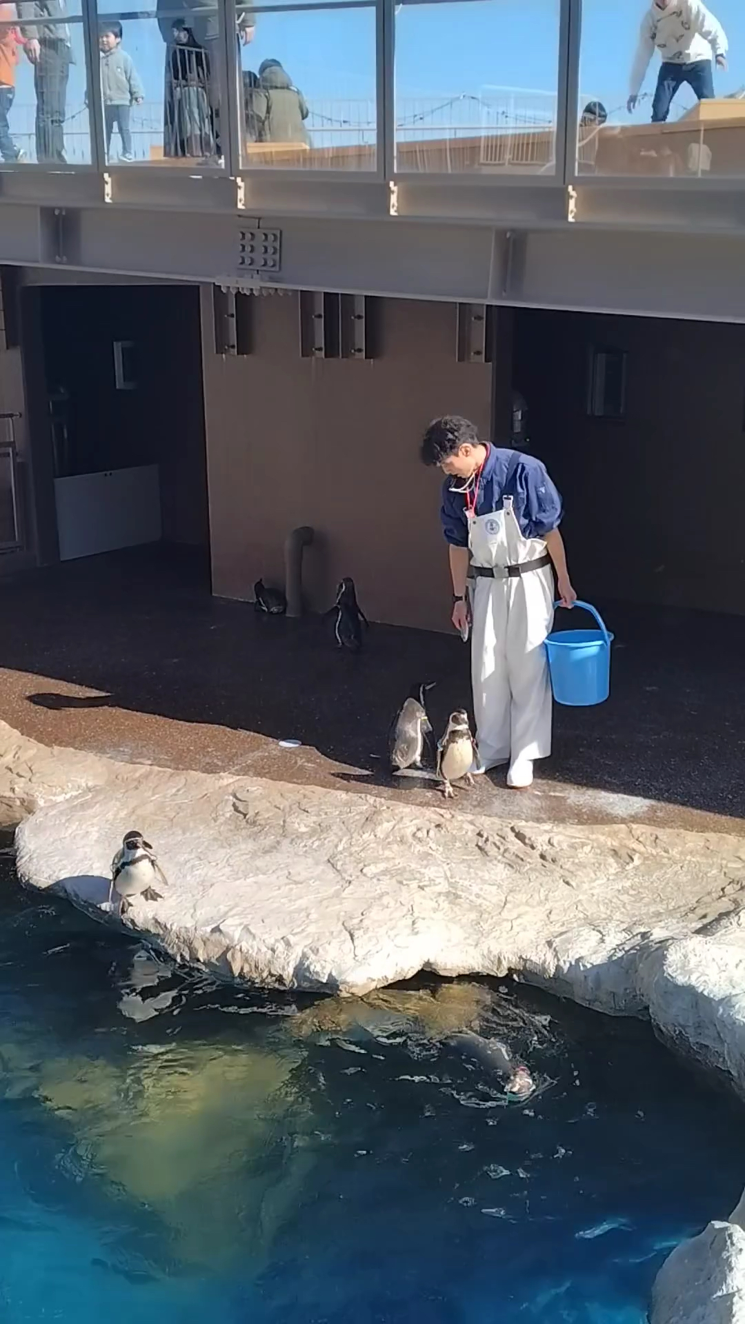 【🐠アクアワールド茨城県大洗水族館探访指南🐬】探索海洋奥秘，与海洋生物零距离接触  🚀 壮观的海洋生