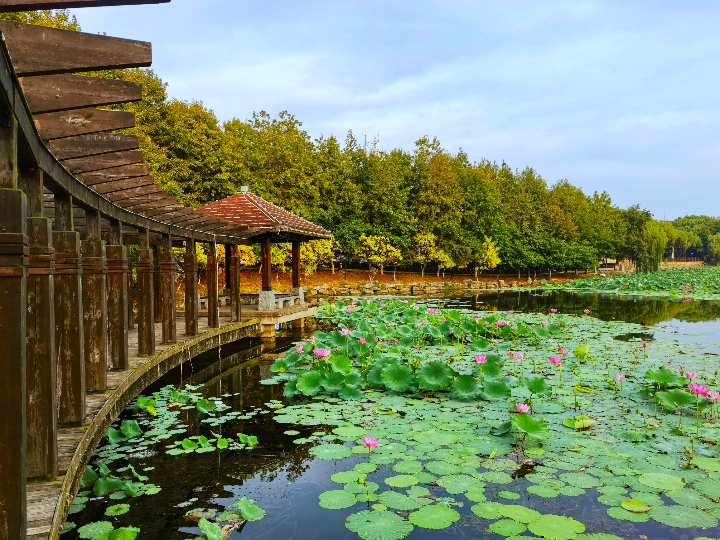 雁家湖植物园位于德安县城的中心地段蒲塘大道，因历史景观“蒲塘落雁”而得名。设有亲水平台、休闲广场、艺