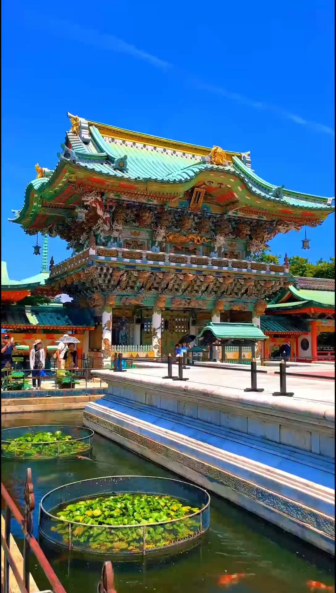 🌸 日本耕三寺 🌸