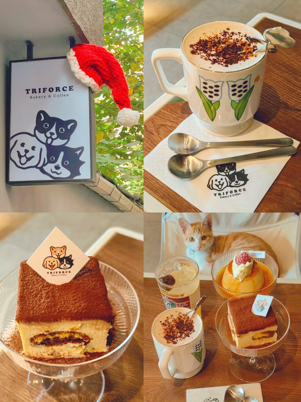 广州)有幸和小猫一起享用下午茶藏在社区的温馨咖啡店