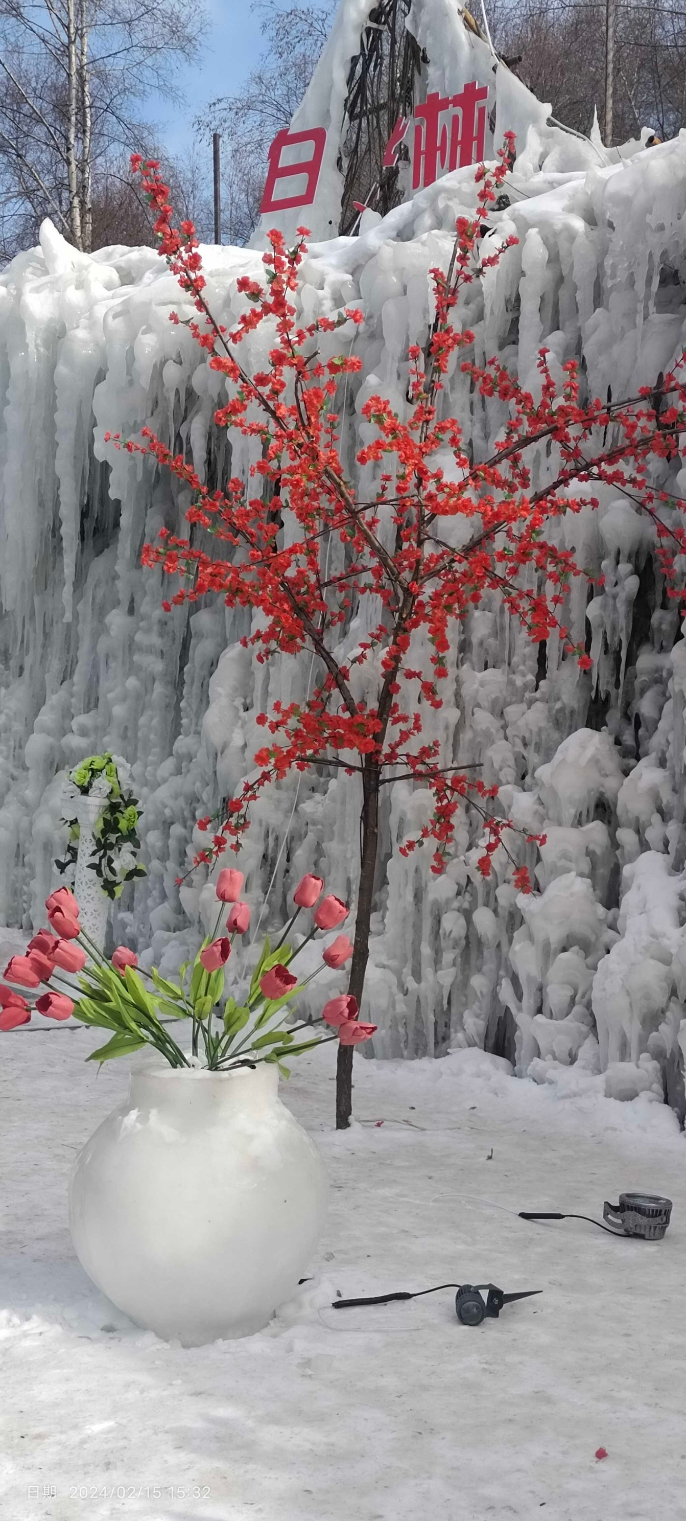 冬日雪后的康乐白桦林，美的像遗落人间的冰雪王国,夏季时有更多的体验项目,有网红桥蹦蹦车的游乐设施，项