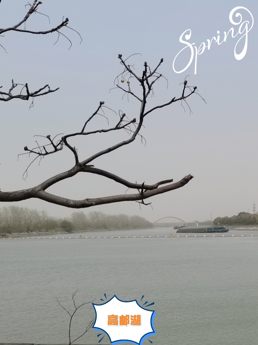 四月初到江苏、苏北“高邮湖”看彩色油菜花，自由行赏花攻略来了