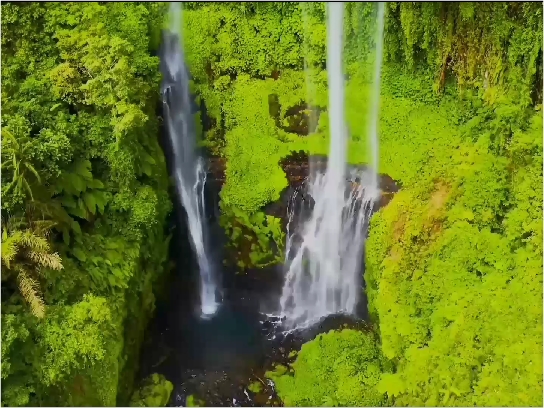 守护青山绿水，留住自然之美