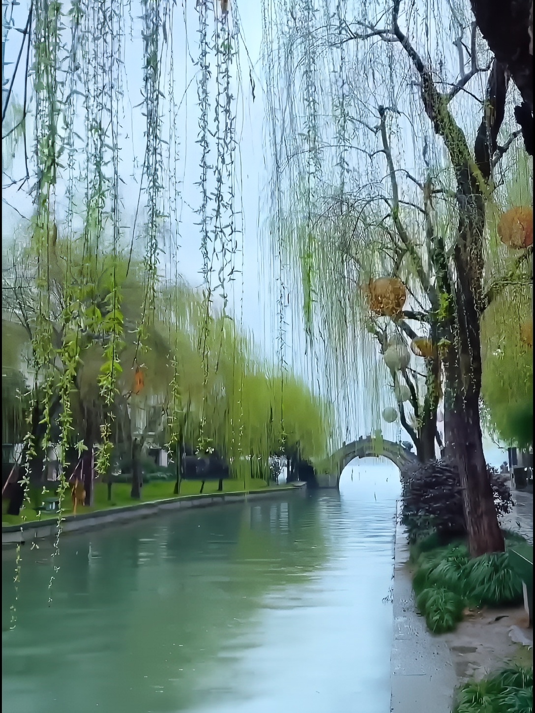 🔥物不语，雨却懂，一场春雨一场喜，春雨滋润万物也能治愈人。