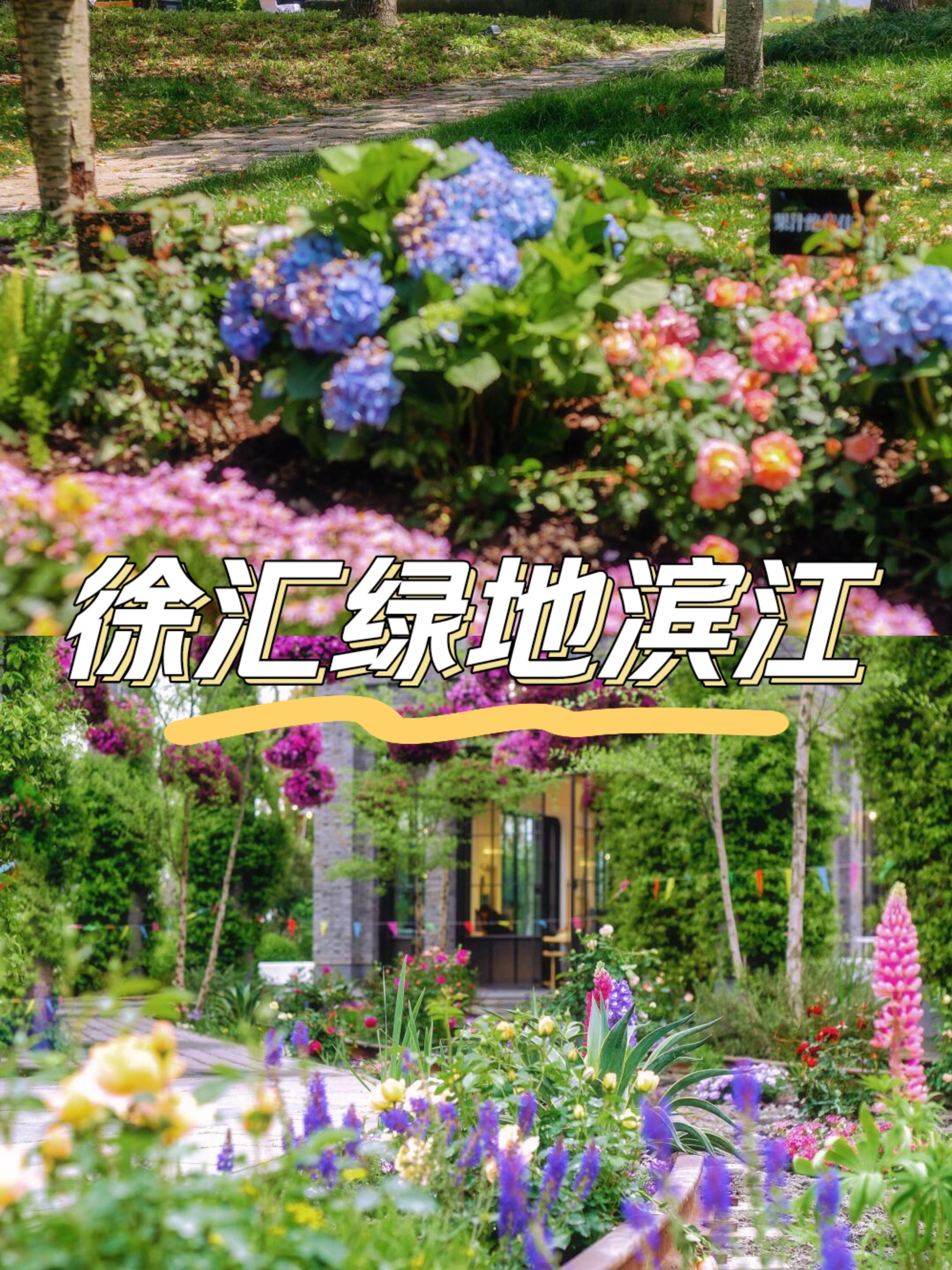 2024上海国际花展：徐汇滨江，花海探秘指南！