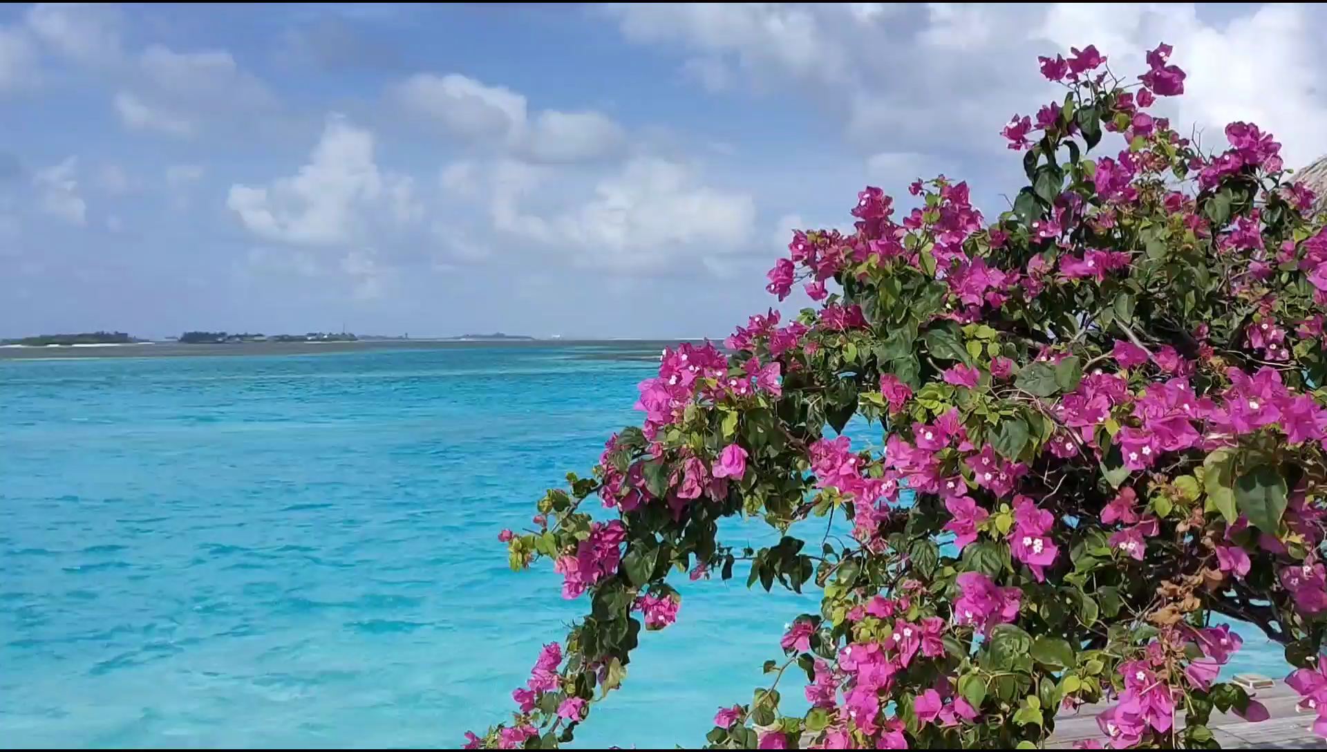 马尔代夫的双鱼岛一日游