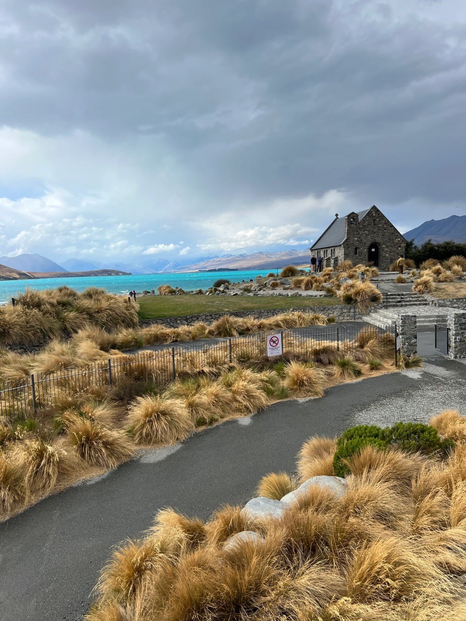 🇳🇿新西兰plog｜特卡波湖+普卡基湖