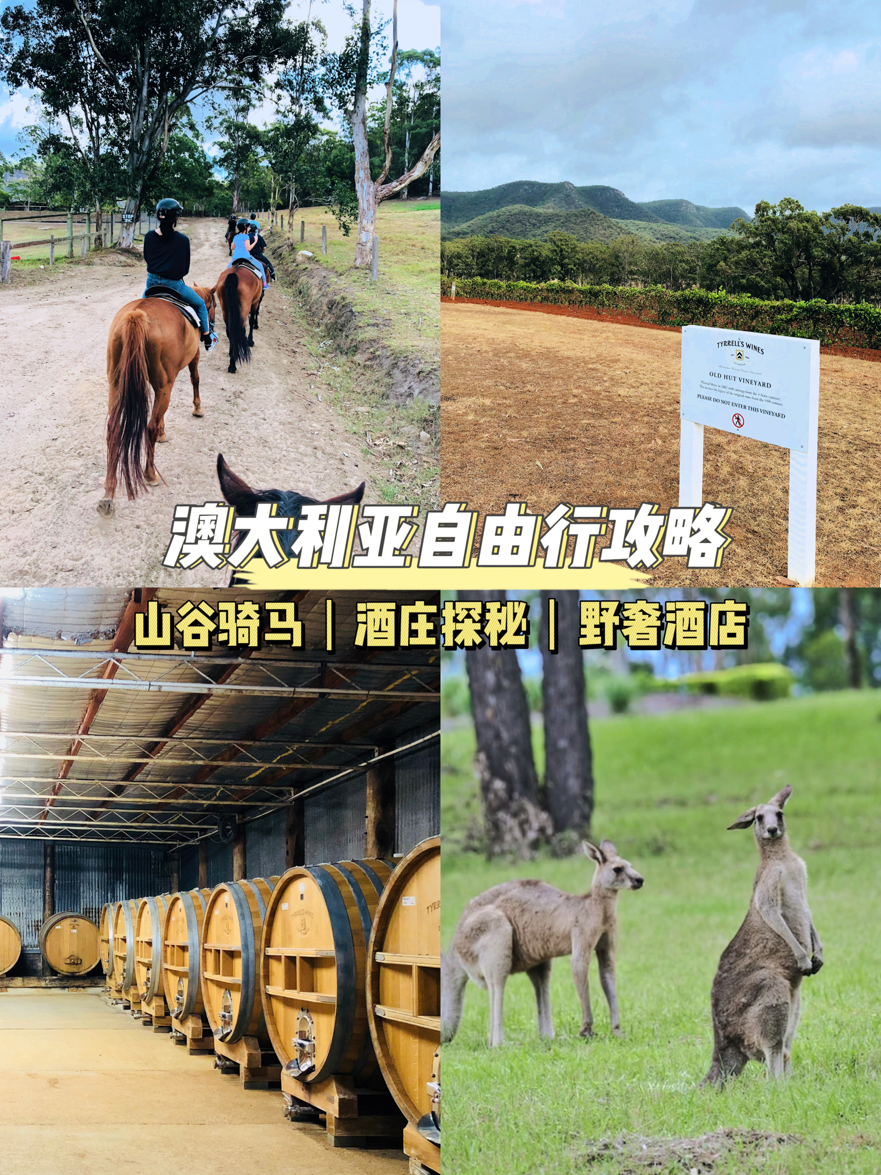 玩心够大？悉尼猎人谷来一场野奢品酒之旅